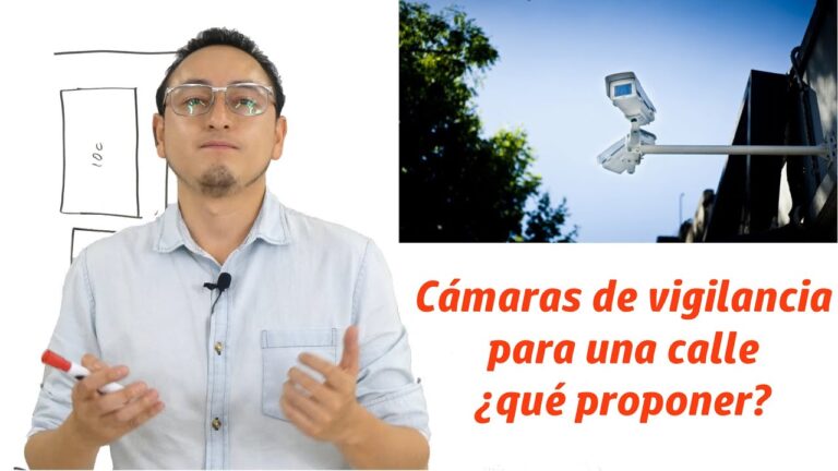 Protecci&oacute;n del P&uacute;blico a Trav&eacute;s de C&aacute;maras de Vigilancia