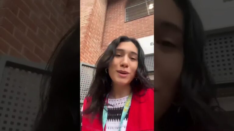 Estilo del Voluntario en Festivales