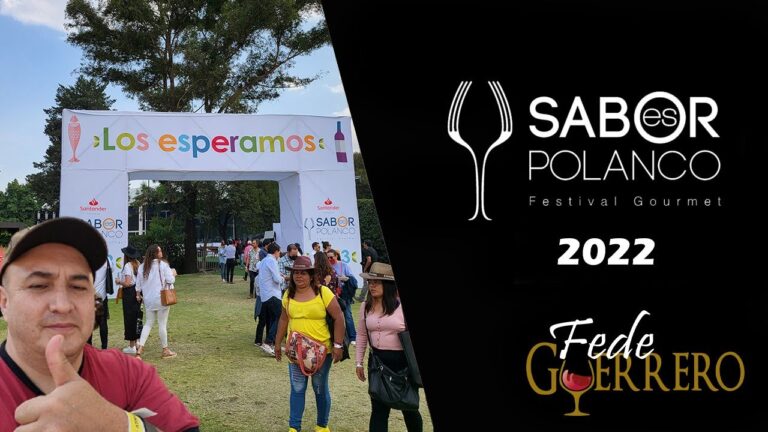 Delicias Culinarias: Catas Gastron&oacute;micas en Festivales de Comida Gourmet