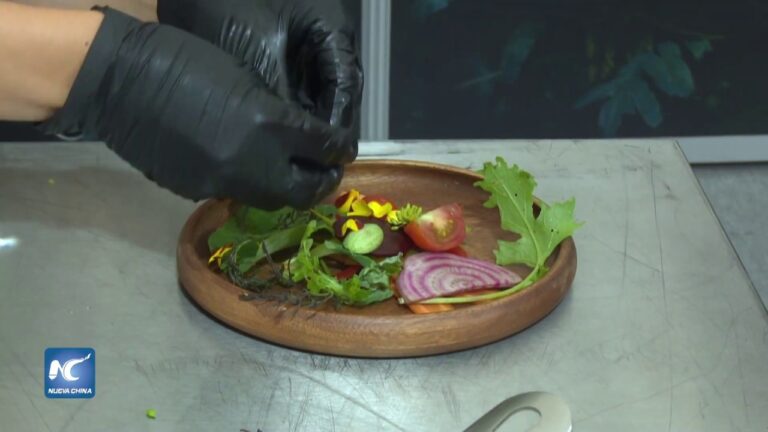 Delicias de la Degustaci&oacute;n de Comida Tradicional en Festivales